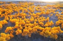 赤峰糧倉籃球場電話號碼查詢