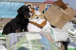 赤峰新救助站電話號(hào)碼是多少