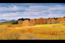 鉑菲攝影赤峰店電話多少號(hào)
