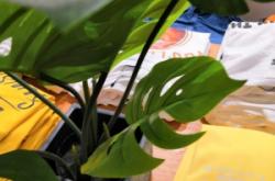 赤峰紫萱花坊電話號碼多少