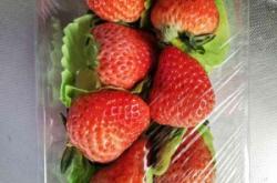 赤峰百果園山莊電話號(hào)碼查詢