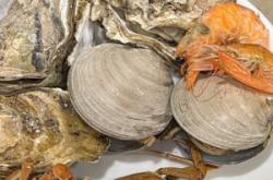 赤峰市園林浴池電話多少號(hào)