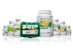 赤峰網(wǎng)紅樹苗經(jīng)銷商電話號(hào)碼