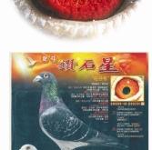 赤峰信鴿拍賣網(wǎng)電話是多少號