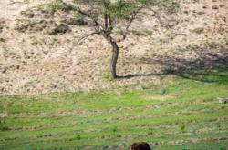 赤峰美川理發(fā)店地址電話號(hào)碼