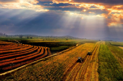 赤峰宏邦農(nóng)牧業(yè)招聘電話號碼