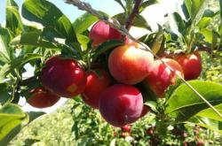 赤峰經(jīng)棚早餐店電話號(hào)碼查詢