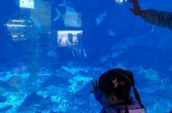 赤峰海辰海洋樂園團(tuán)購電話號碼