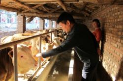 赤峰回乃林拼車電話查詢號碼