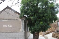 赤峰市曲家溝診所電話號碼