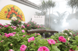 赤峰大白山景區(qū)電話(huà)多少號(hào)