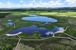 內(nèi)蒙古赤峰申通快遞電話號(hào)碼