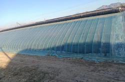 赤峰求購(gòu)?fù)恋仉娫捥?hào)碼多少號(hào)