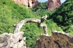 赤峰原冶設(shè)計(jì)院地址電話號(hào)碼