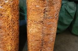 赤峰炒餅批發(fā)電話號碼多少