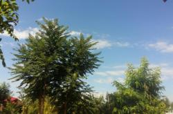 赤峰至開(kāi)魯拼車(chē)電話號(hào)碼是多少