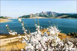 赤峰寧城縣橋架廠電話號碼