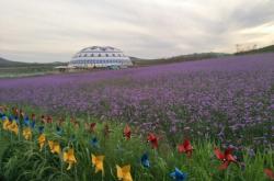 赤峰市天山定制戒指店電話號碼