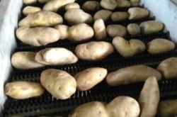 赤峰市土豆干洗廠地址電話號(hào)碼