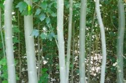 赤峰楊云烤生蠔地址電話號碼