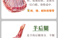赤峰市羊肉價格