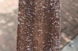 赤峰市磨巧雪糕廠電話號(hào)碼