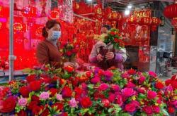 赤峰三角梅花店電話號碼