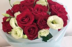 赤峰艷子鮮花店電話地址查詢