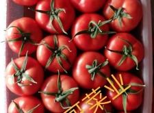 赤峰鮮果批發(fā)城電話多少號