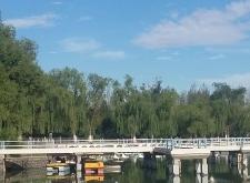 赤峰紅山遮陽(yáng)棚廠家電話號(hào)碼