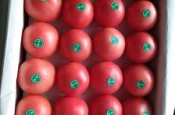 赤峰炕板批發(fā)廠家電話(huà)號(hào)碼