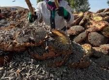 赤峰趙老漢瓜子店電話多少號