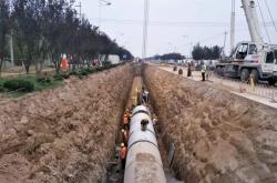 赤峰雨冬大桃基地電話號(hào)碼