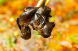 赤峰富強(qiáng)燒烤電話號(hào)碼查詢是多少