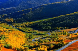 赤峰眾聯(lián)小罐茶莊電話地址查詢