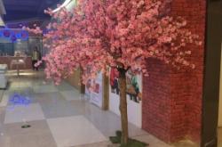 赤峰維多利萬悅城電話客服熱線