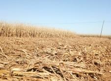 赤峰關(guān)家營曉芹診所電話號碼