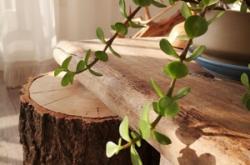 赤峰梵舍瑜伽館電話多少號(hào)