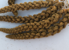 赤峰阿旗烤鵝電話號碼多少