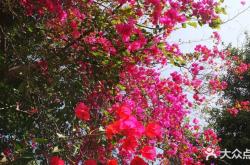 赤峰祝酒歌飯店電話(huà)號(hào)碼查詢(xún)