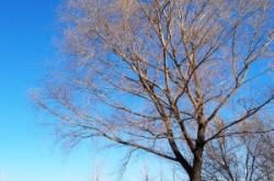 赤峰博雅泳樂匯團(tuán)購電話號碼