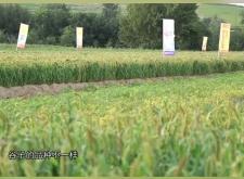 赤峰市賣(mài)化肥電話號(hào)碼多少號(hào)