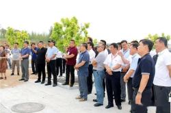 赤峰市敖漢旗經(jīng)信局電話號(hào)碼