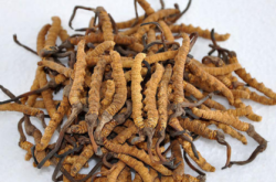 赤峰花膠回收電話地址是多少號(hào)