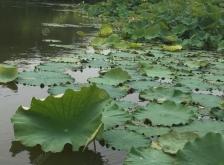 赤峰八家大橋釣魚地點(diǎn)電話號碼