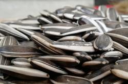 赤峰脫皮瓜子批發(fā)市場(chǎng)電話(huà)號(hào)碼