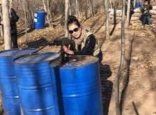 赤峰到雷營子客車電話查詢號碼