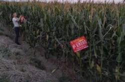 赤峰包谷種子批發(fā)廠家電話號(hào)碼