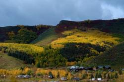 赤峰球蓋菇種植基地電話號碼