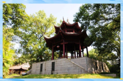 赤峰牡丹亭兒童醫(yī)院電話號碼